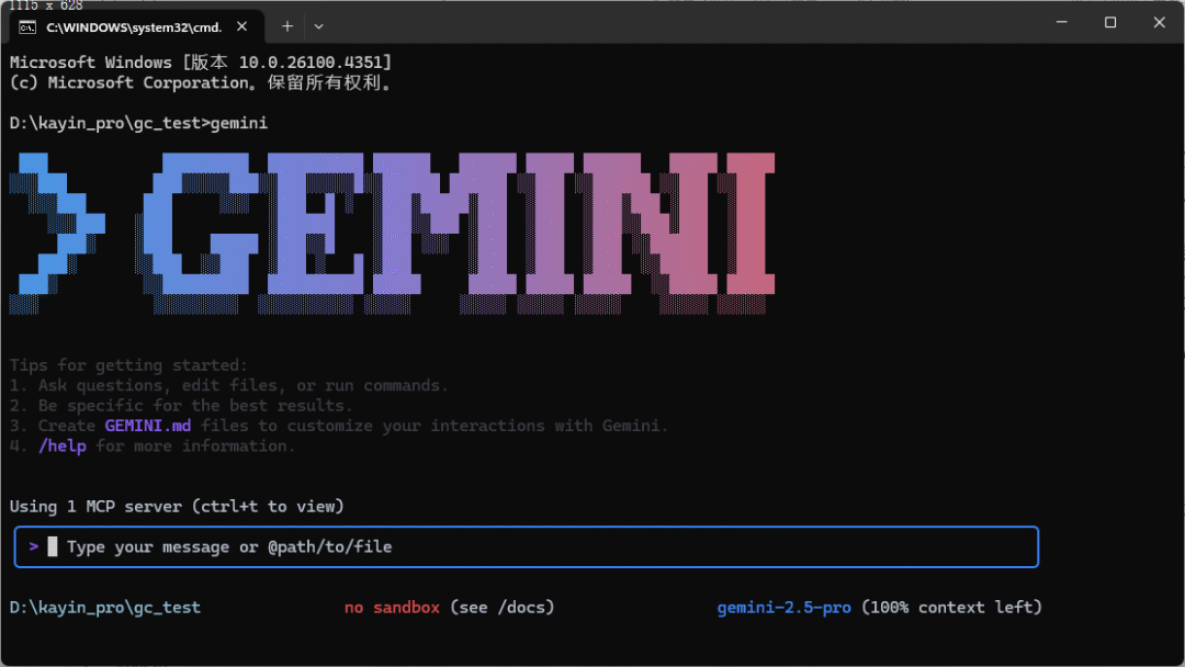 gemini 启动!